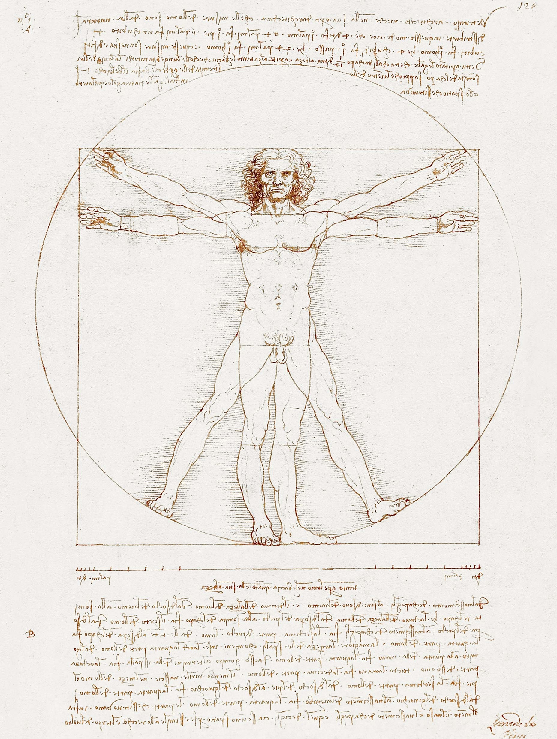 Svartvit poster med lejoninnaporträtt