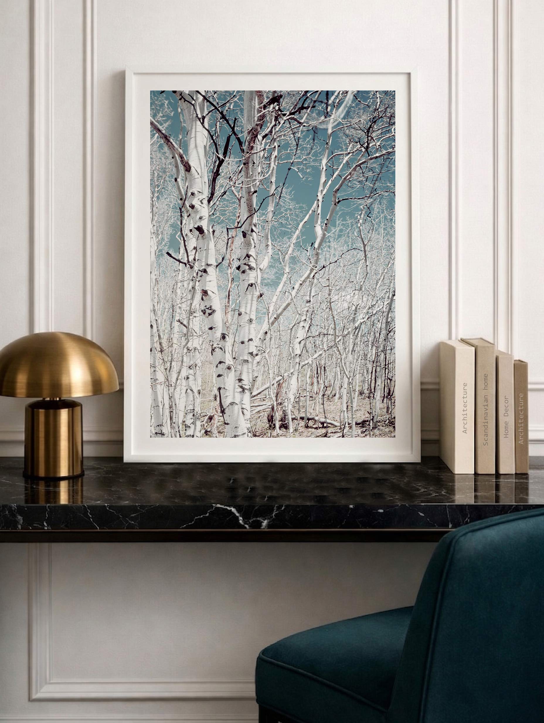 Birch Trees - Carol M. Highsmith