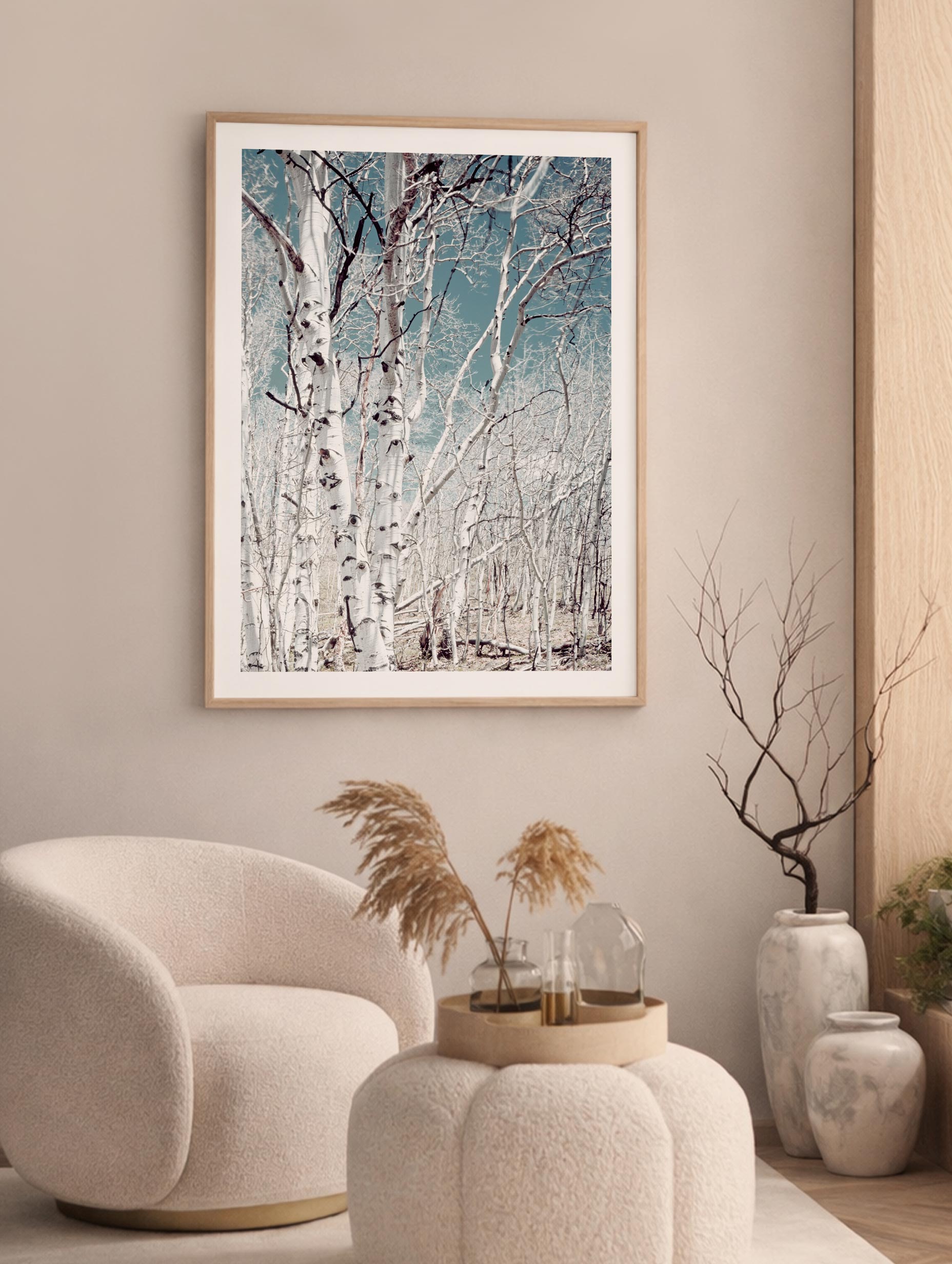 Birch Trees - Carol M. Highsmith