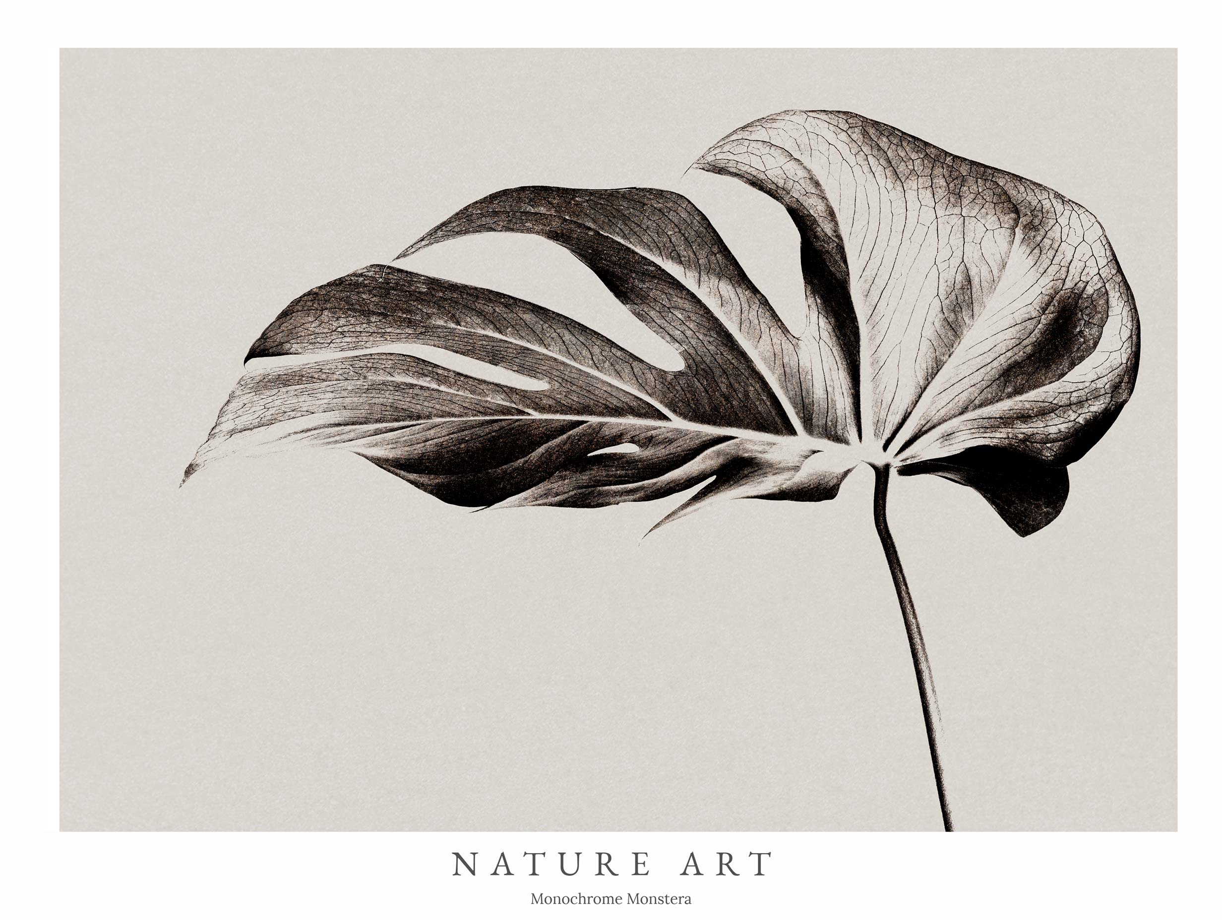 Monochrome Monstera Poster