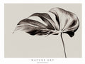 Monochrome Monstera Poster