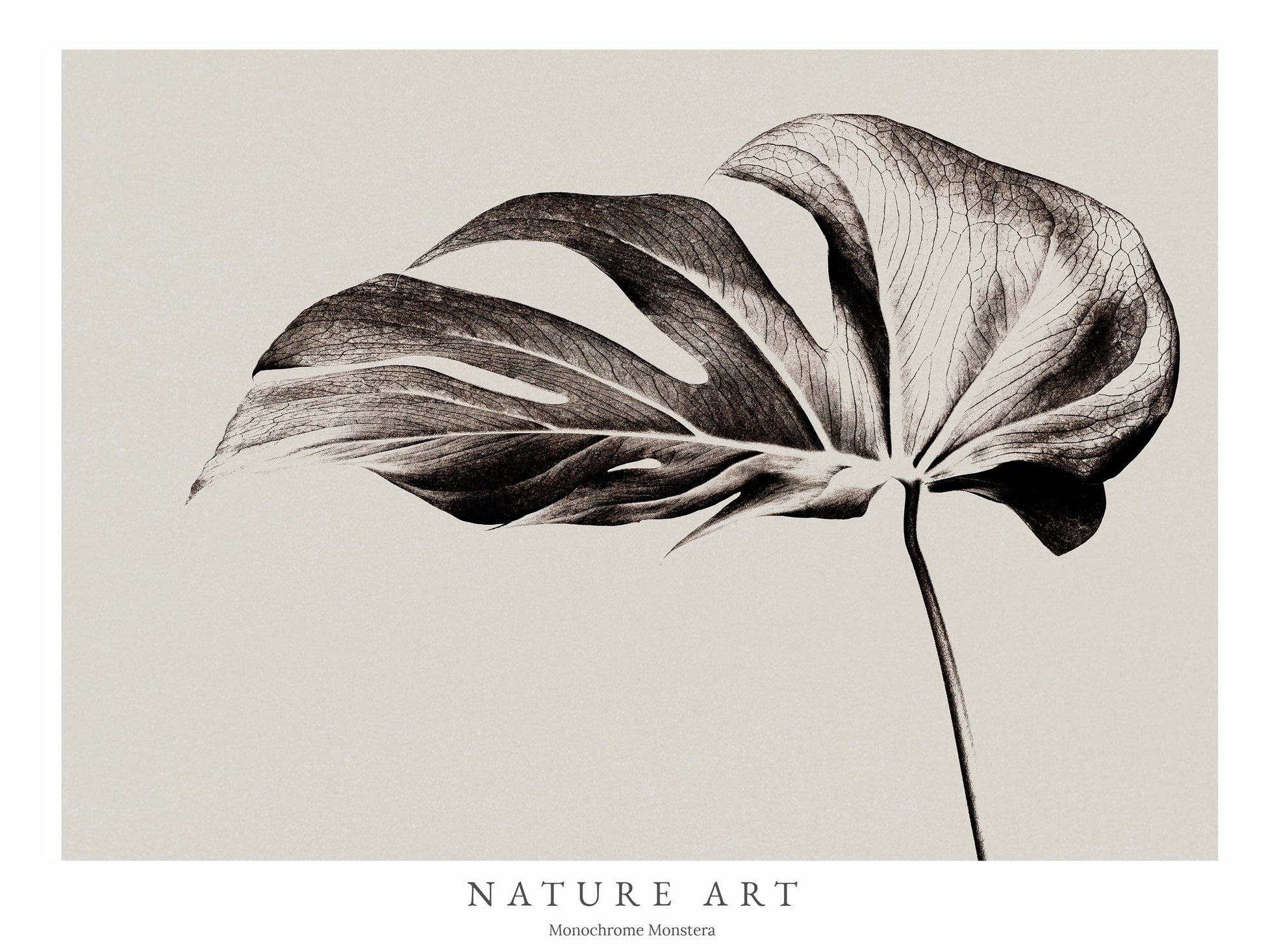 Monochrome Monstera Poster