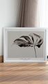 Monochrome Monstera Poster Mockup