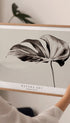 Monochrome Monstera Poster Mockup