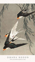 Three red-tailed swallows in dive - Ohara Koson