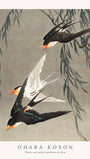 Three red-tailed swallows in dive - Ohara Koson