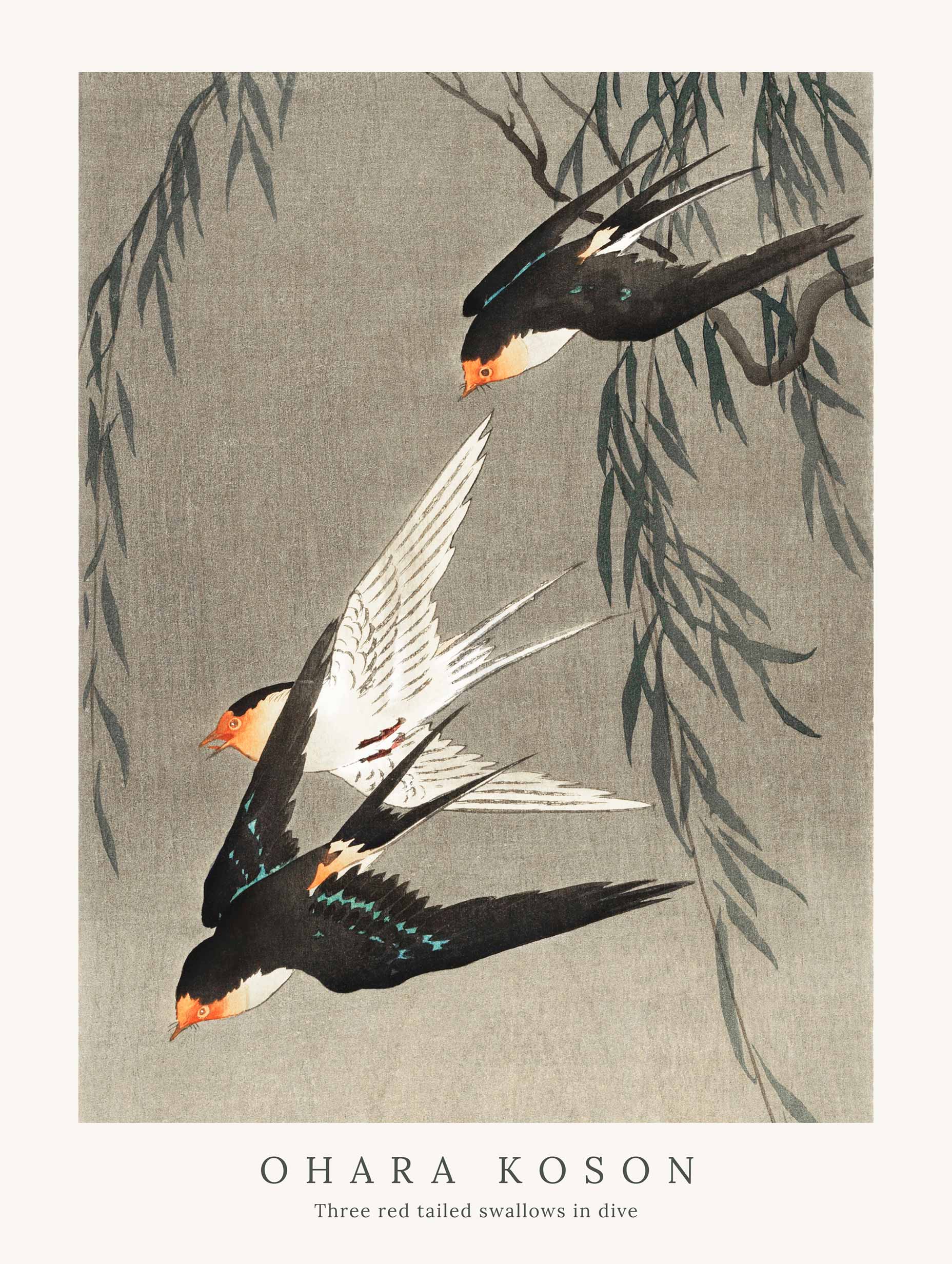 Three red-tailed swallows in dive - Ohara Koson