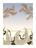 Japanese Cranes Poster