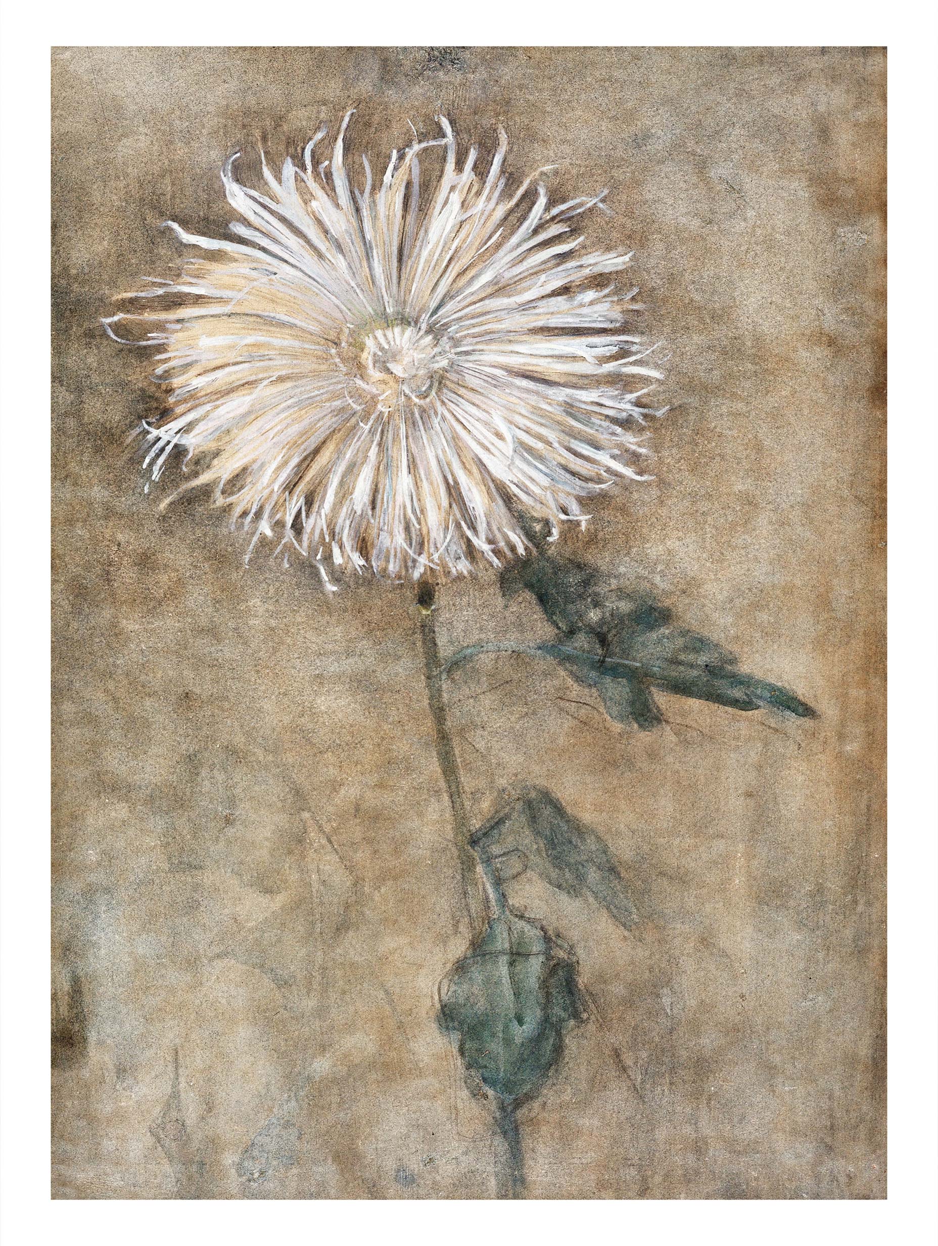 Chrysanthemum - Piet Mondrian Art Print