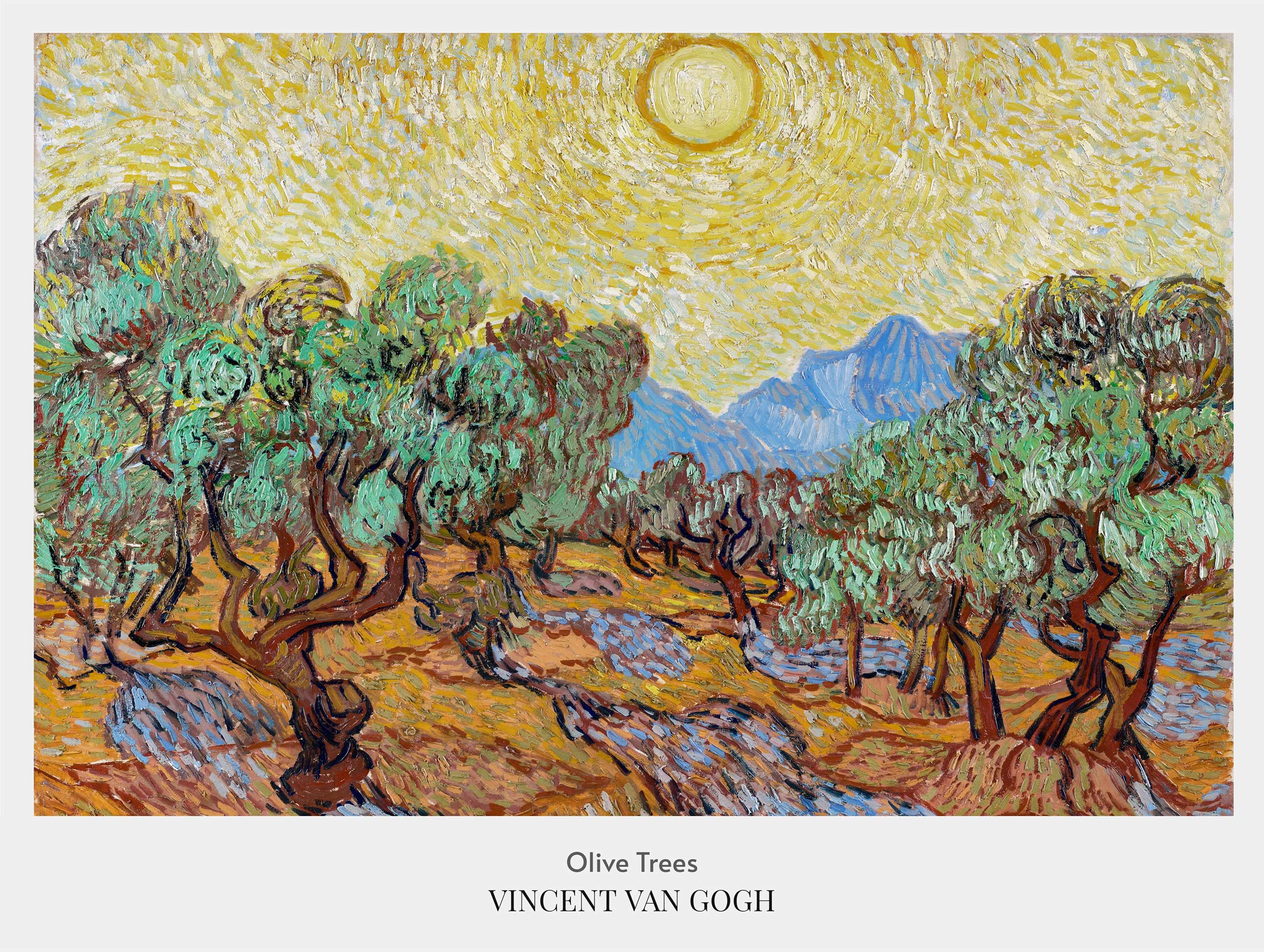 Olive Trees - Van Gogh Art Print