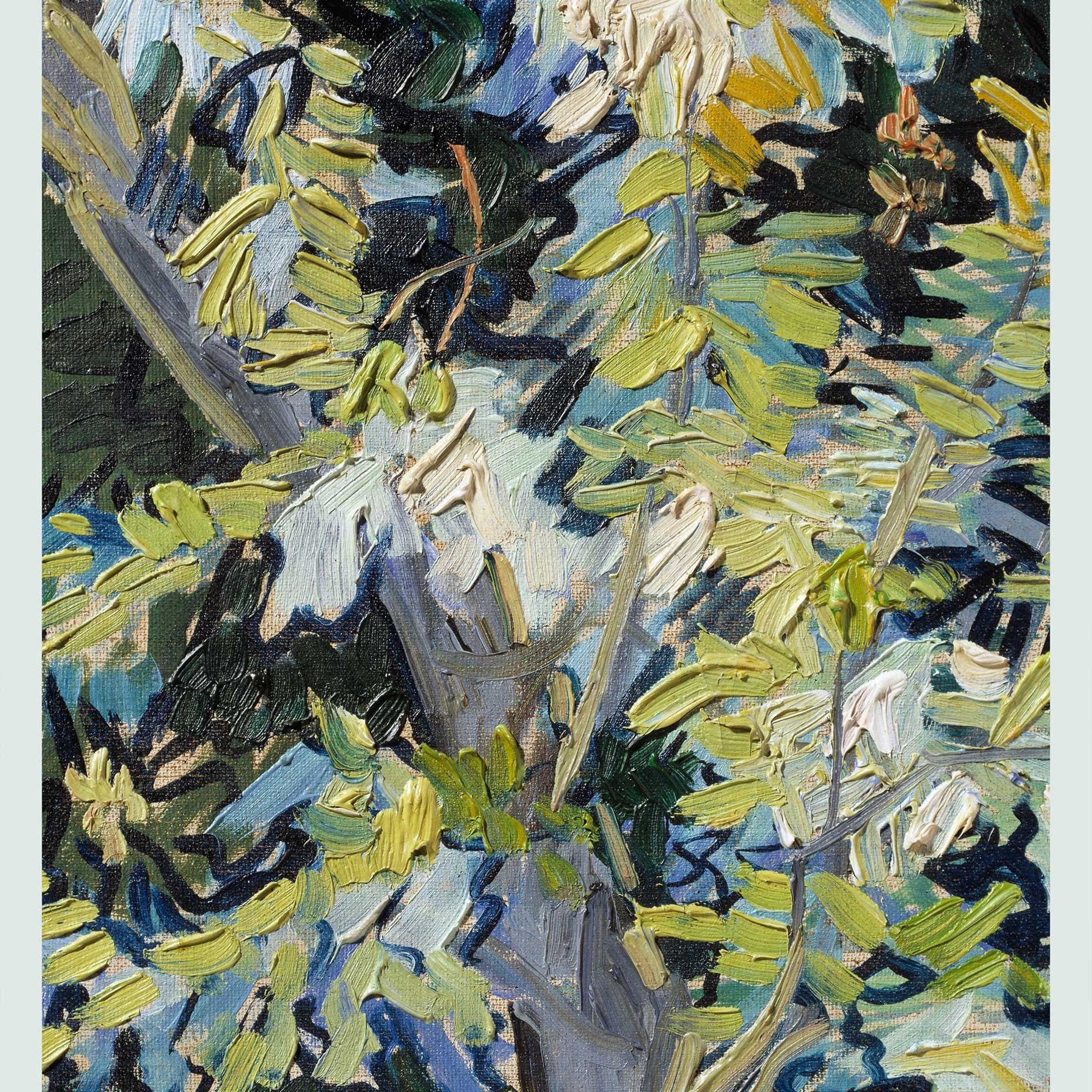 Blossoming Acacia Branches – Van Gogh