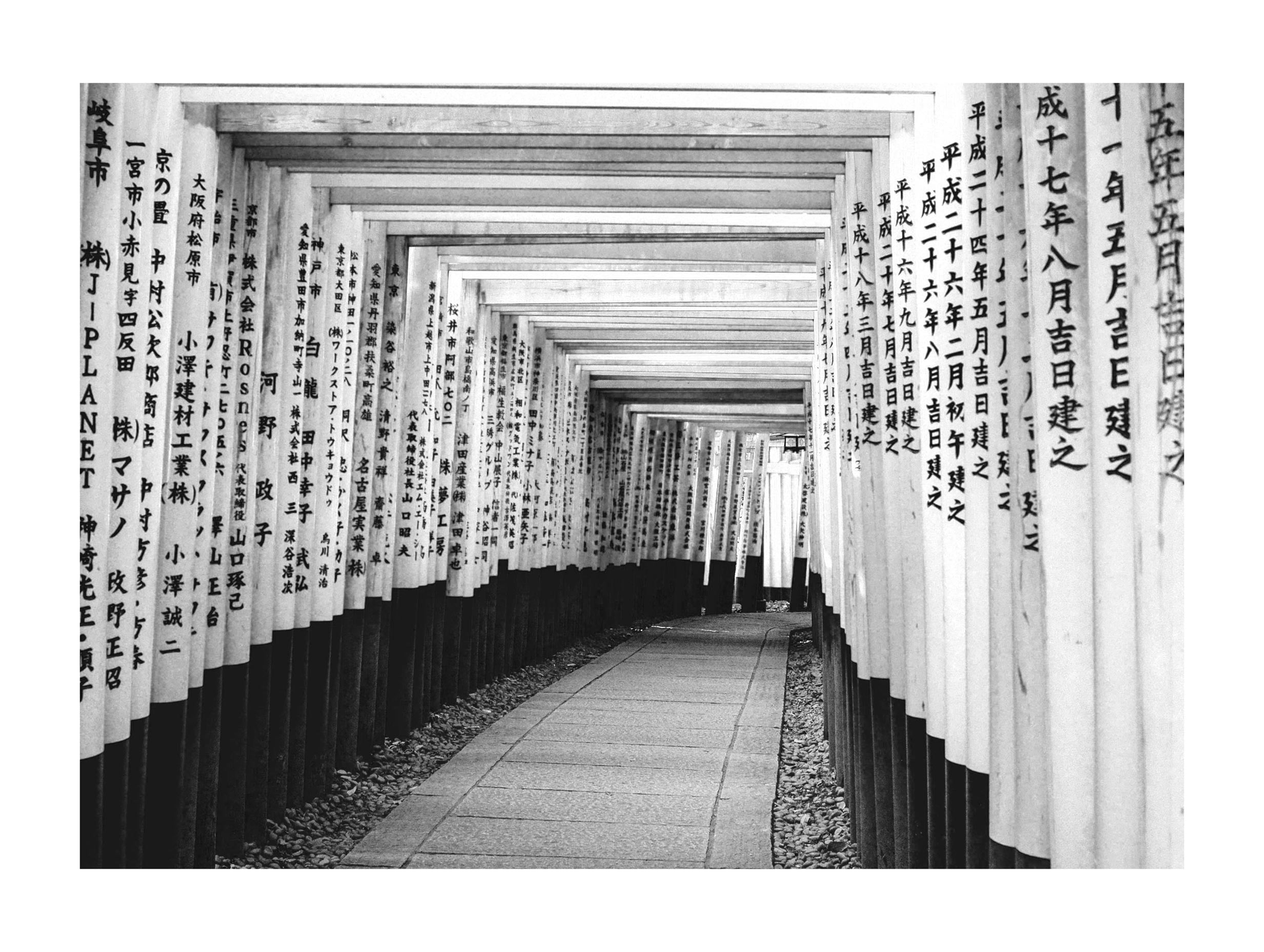 Fushimi Inari Trail - Kyoto City Poster