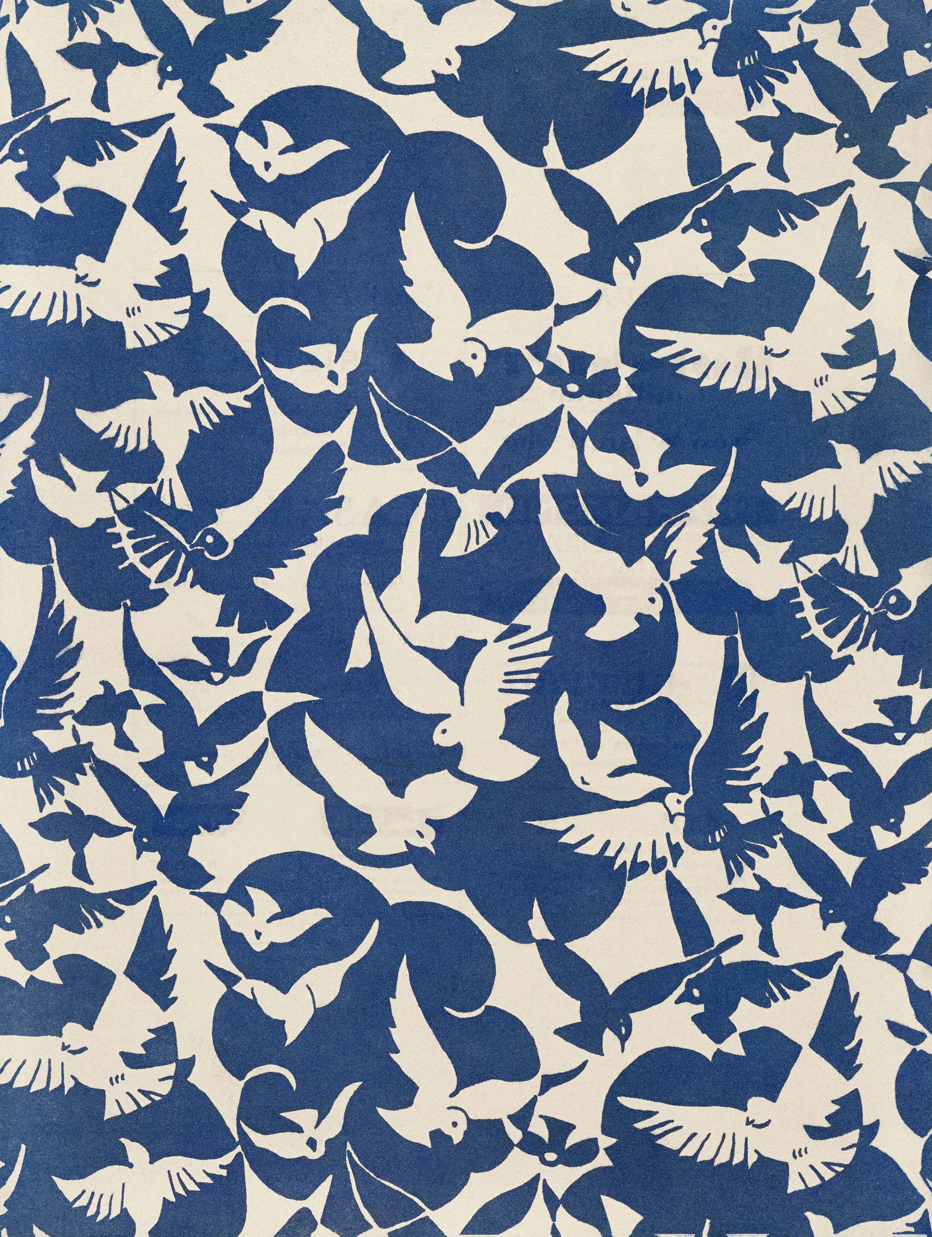 Pigeons in Blue & White Poster