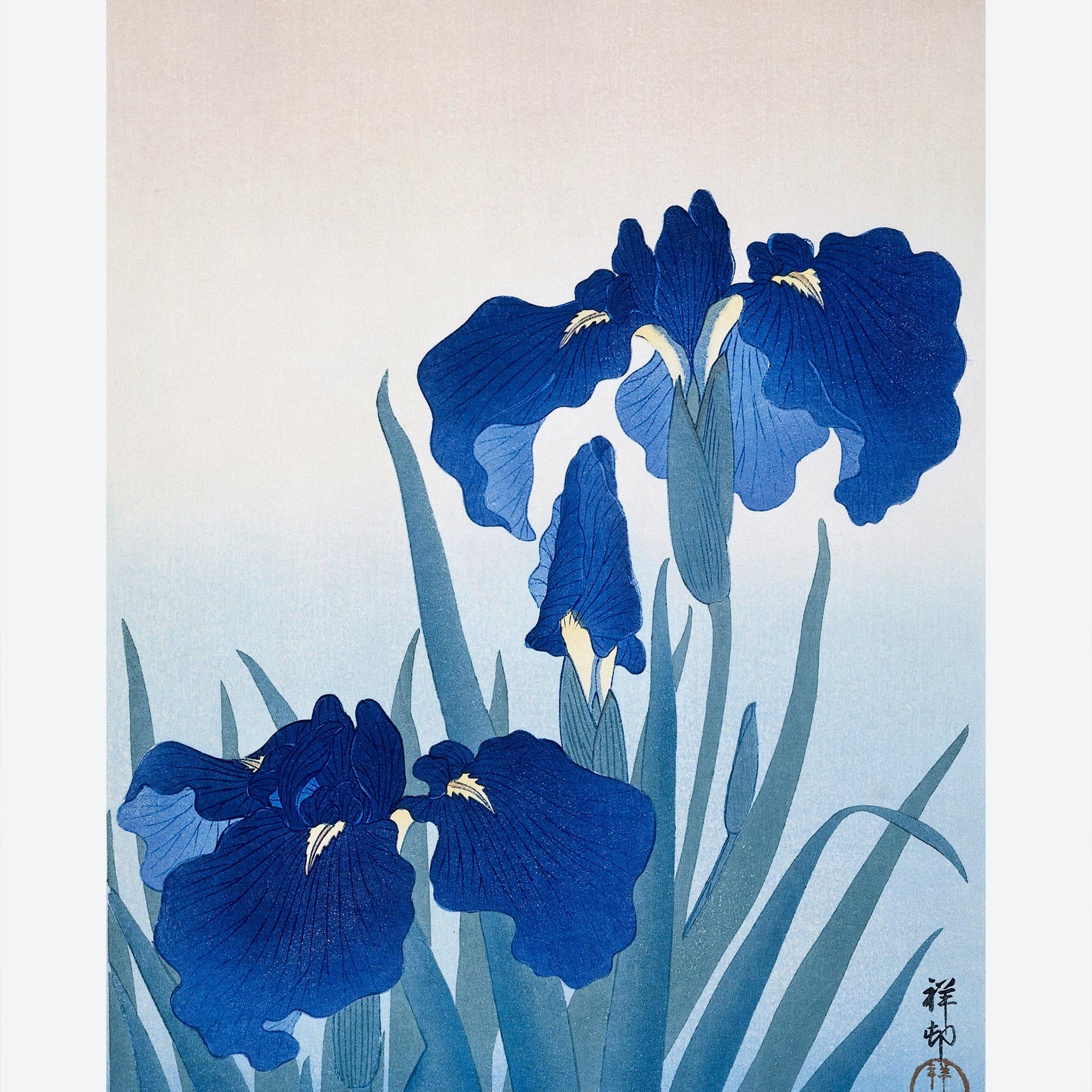 Blue Irises – Ohara Koson Japanese Woodblock Art Print