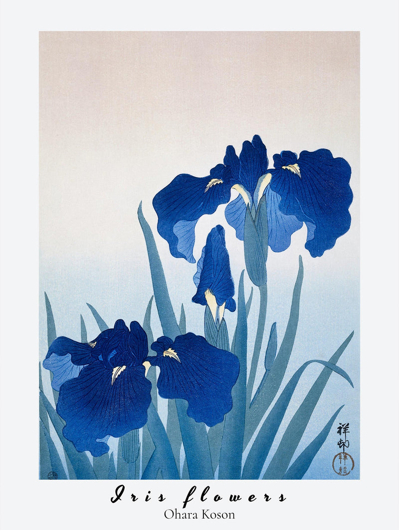 Blue Irises - Ohara Koson