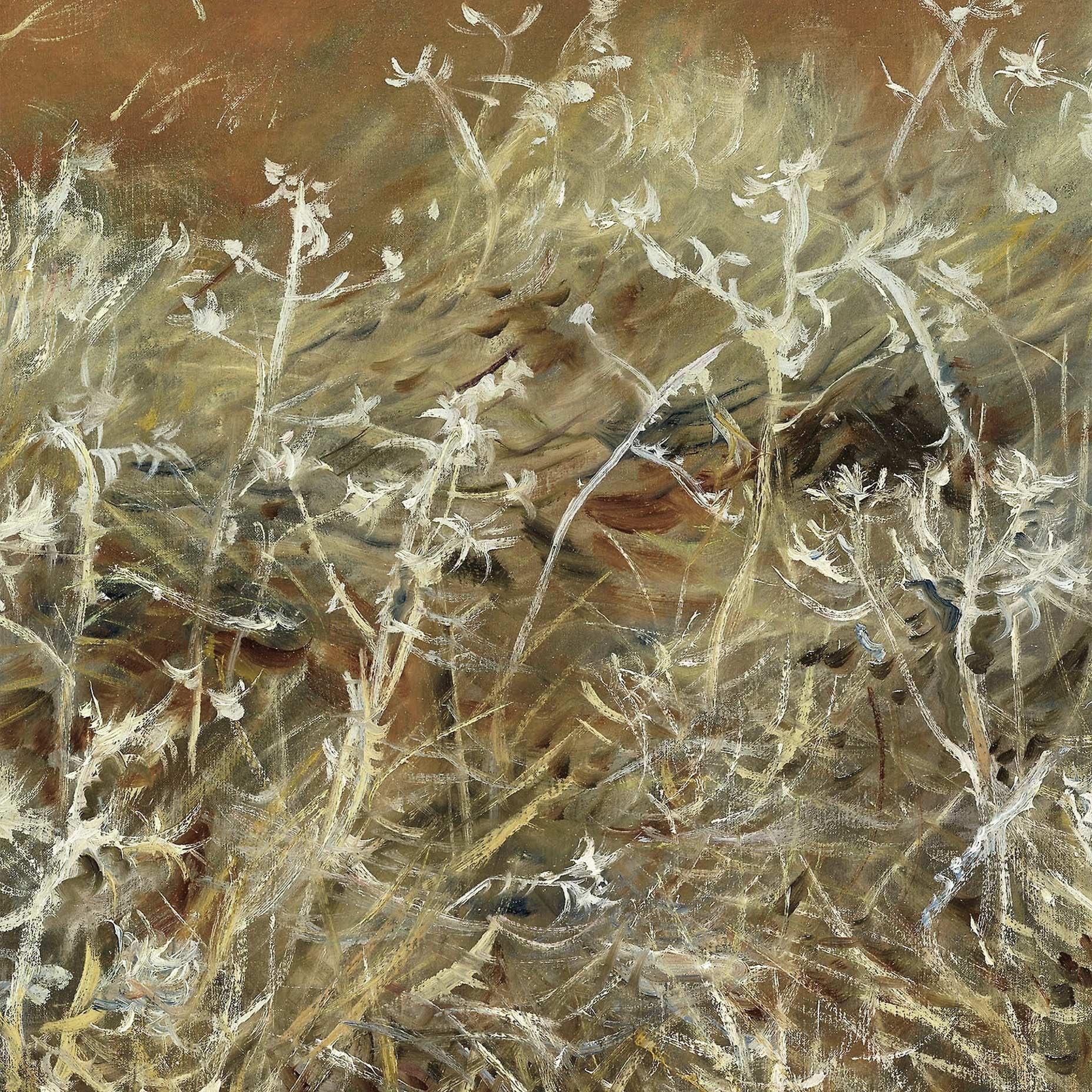 Thistles – John Singer Sargent