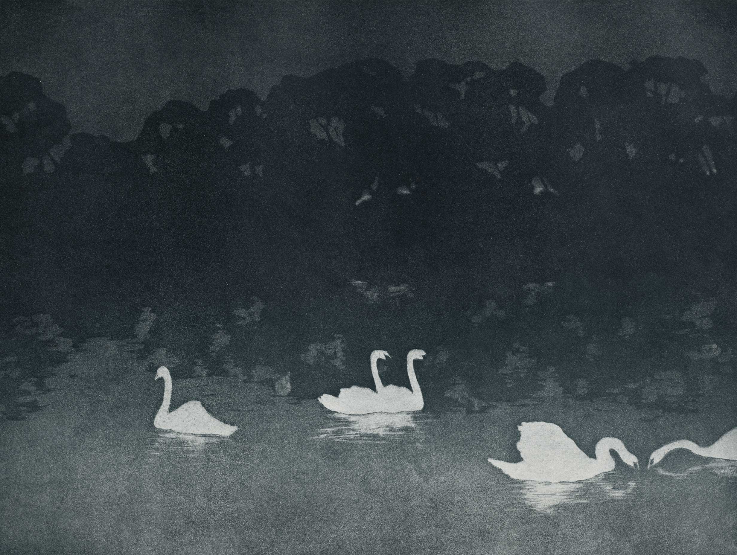 Les Cygnes 1899 - Francis Jourdain