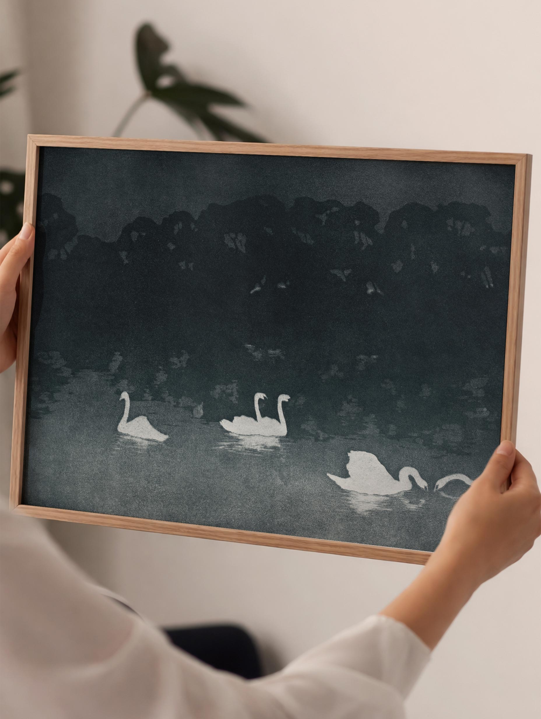 Les Cygnes 1899 - Francis Jourdain