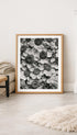 Achillea Clypeolata – Karl Blossfeldt Art Print Mockup