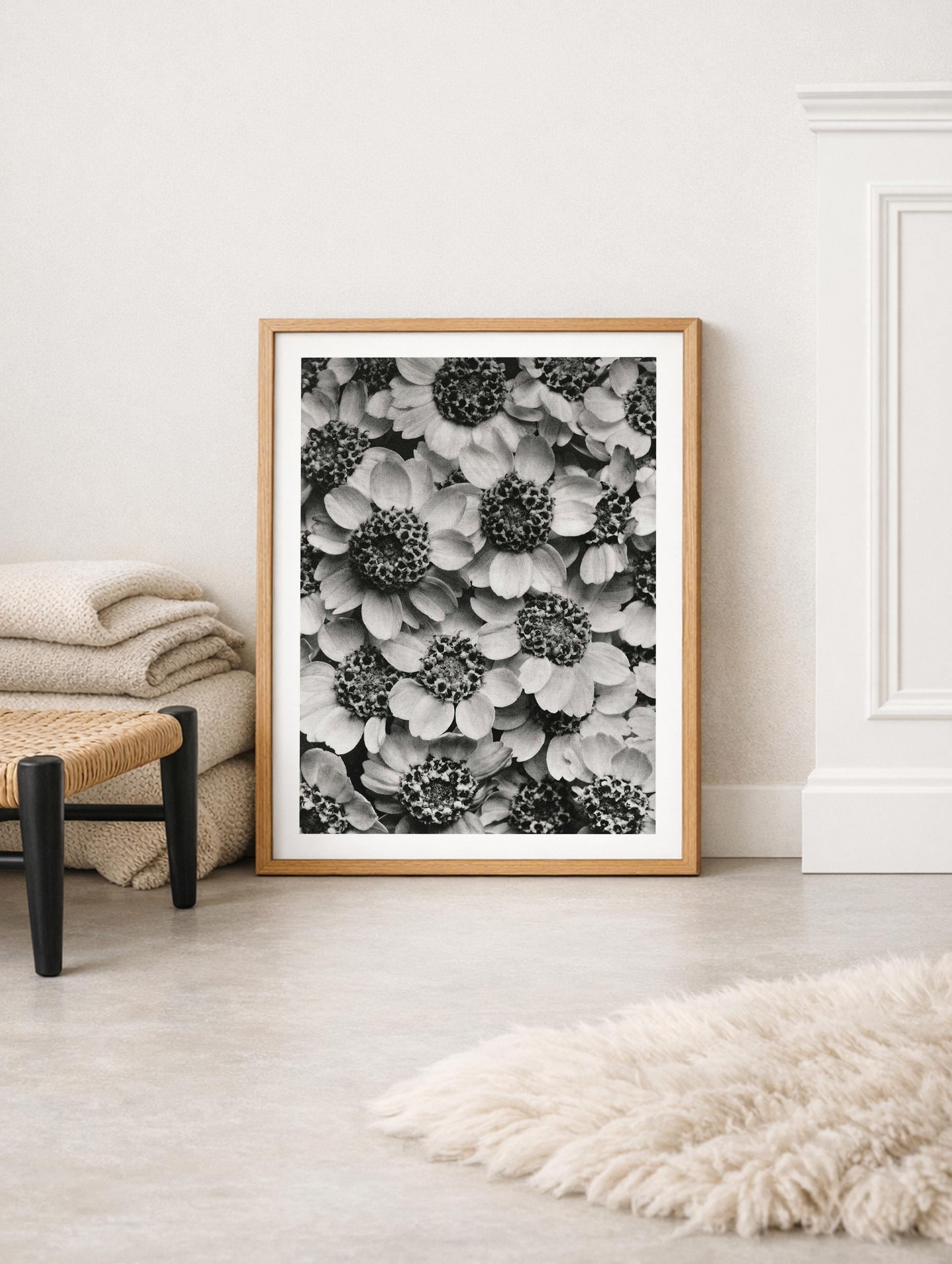 Achillea Clypeolata – Karl Blossfeldt Art Print Mockup