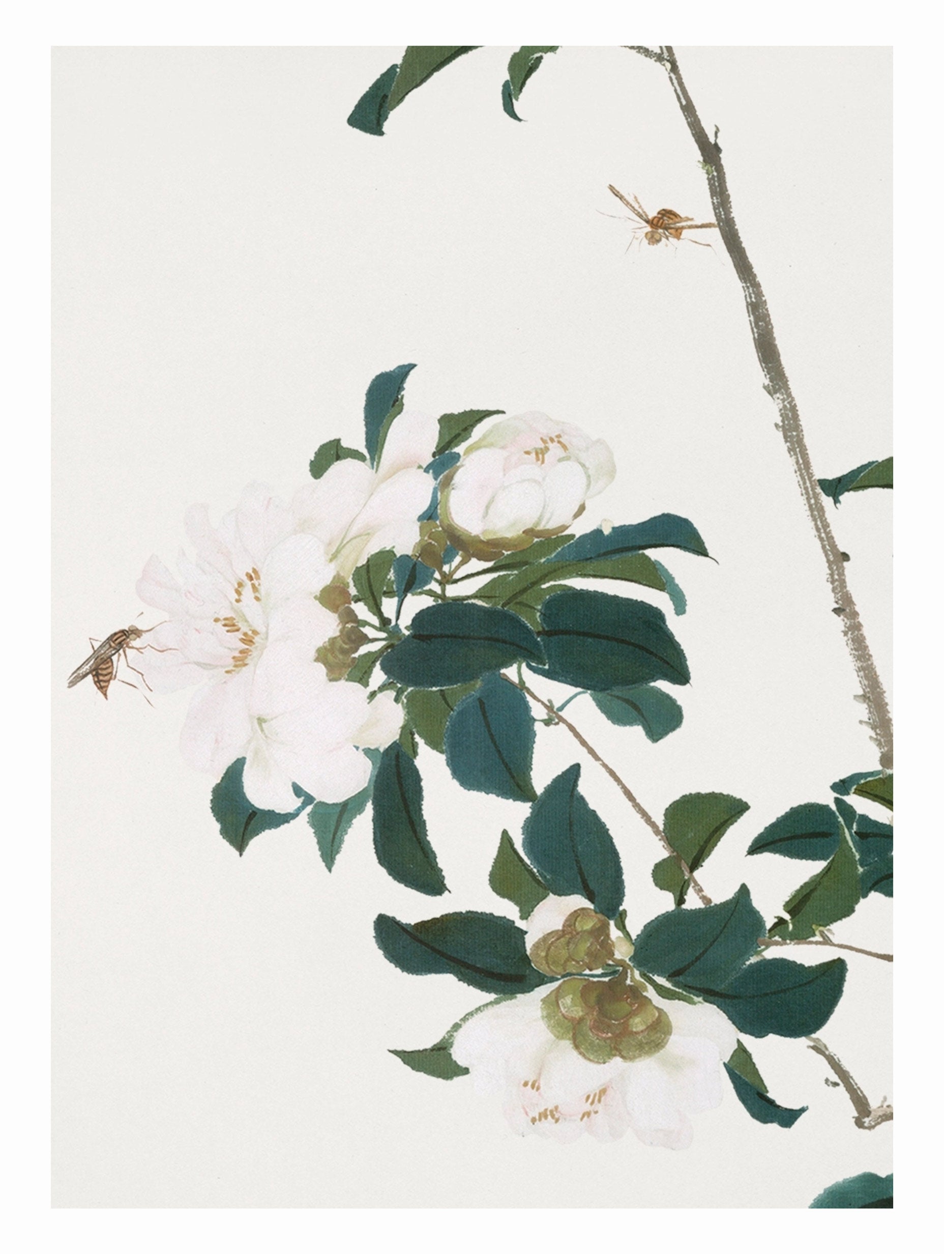 Insects and Flowers - Ju Lian