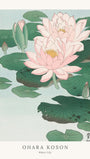 Water Lily - Ohara Koson