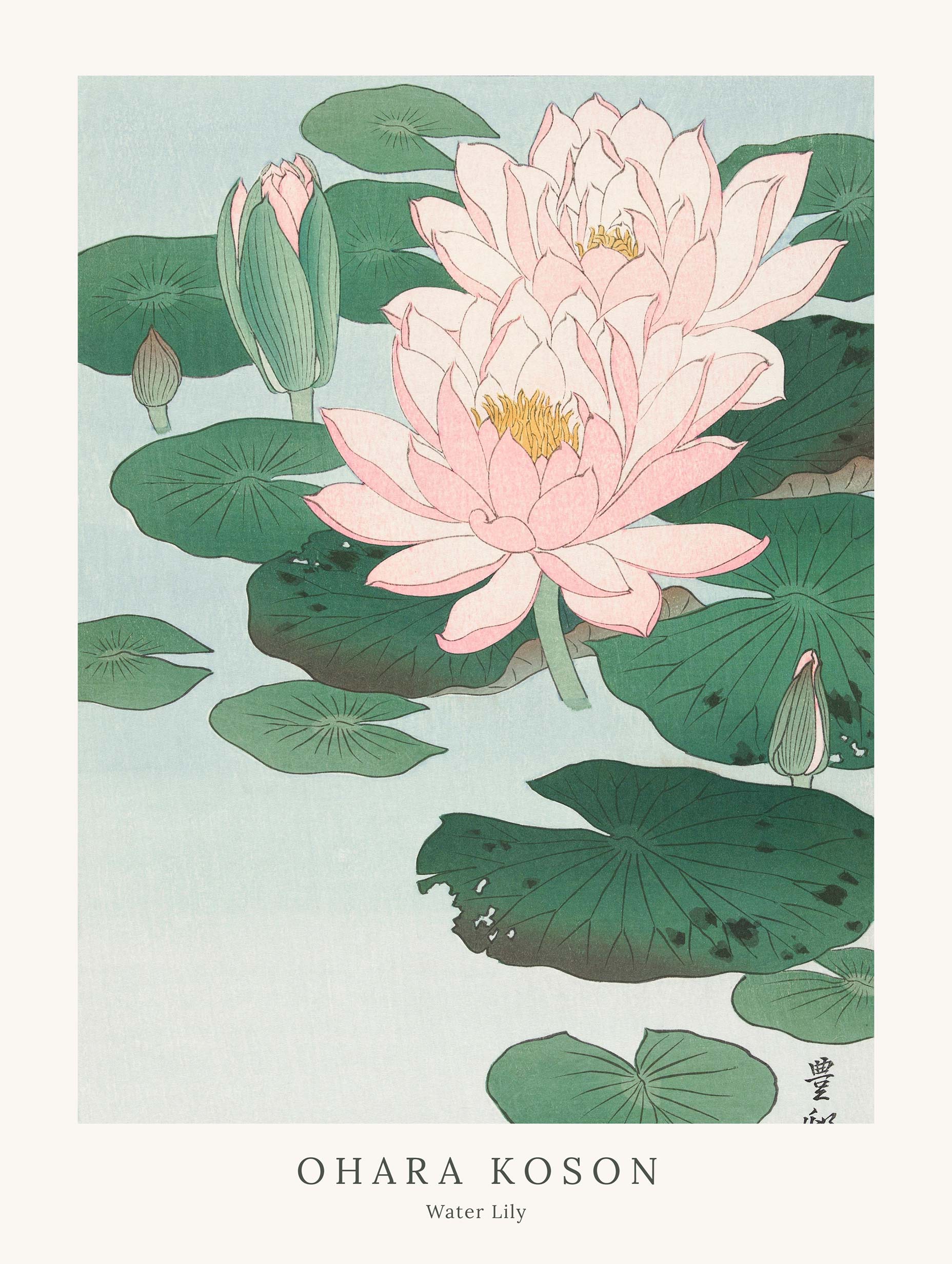 Water Lily - Ohara Koson