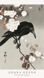 Crow and Cherry Blossom - Ohara Koson