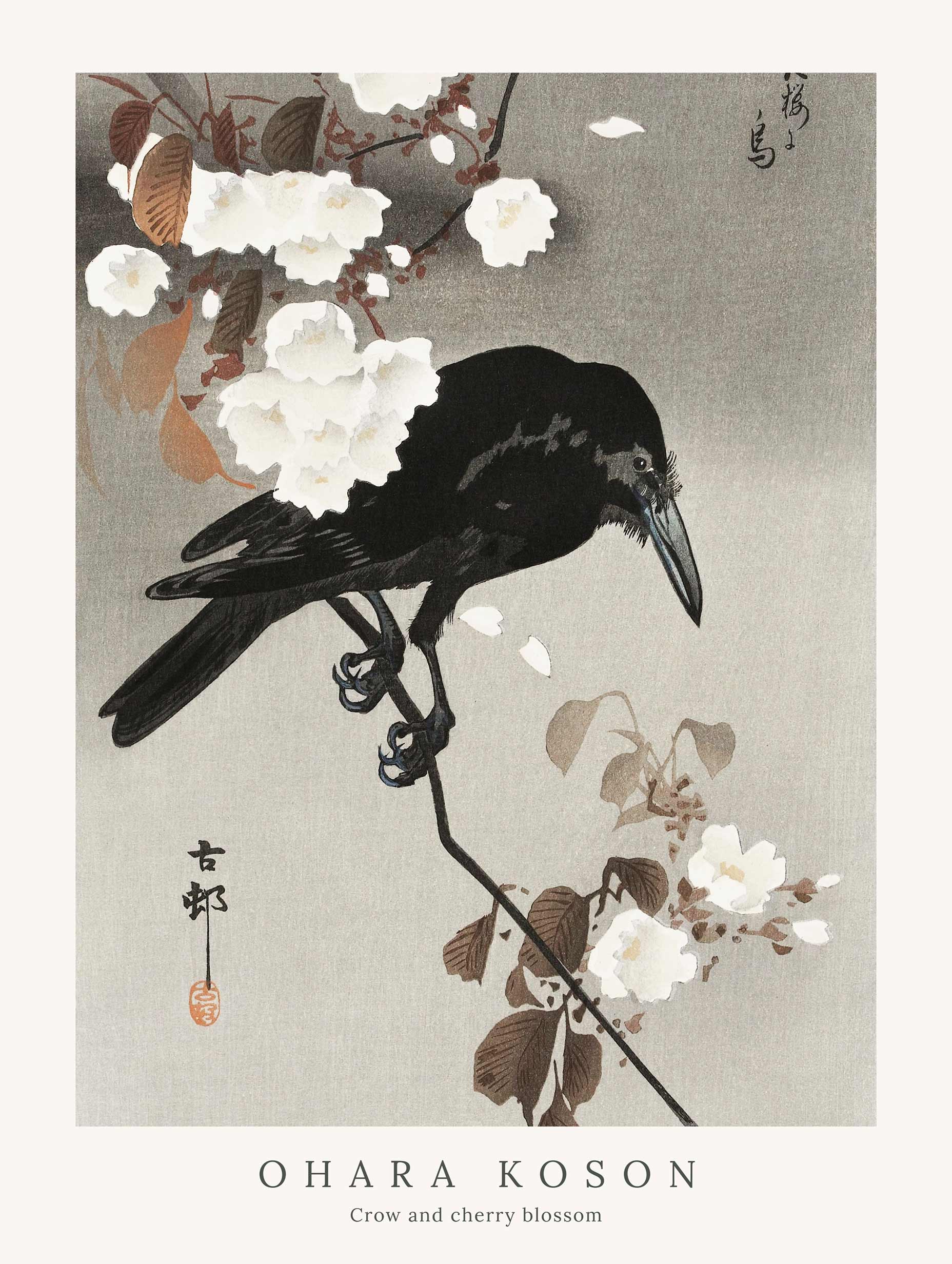 Crow and Cherry Blossom - Ohara Koson
