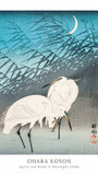 Egrets and Reeds in Moonlight - Ohara Koson