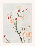Plum branches with blossoms - Megata Morikaga