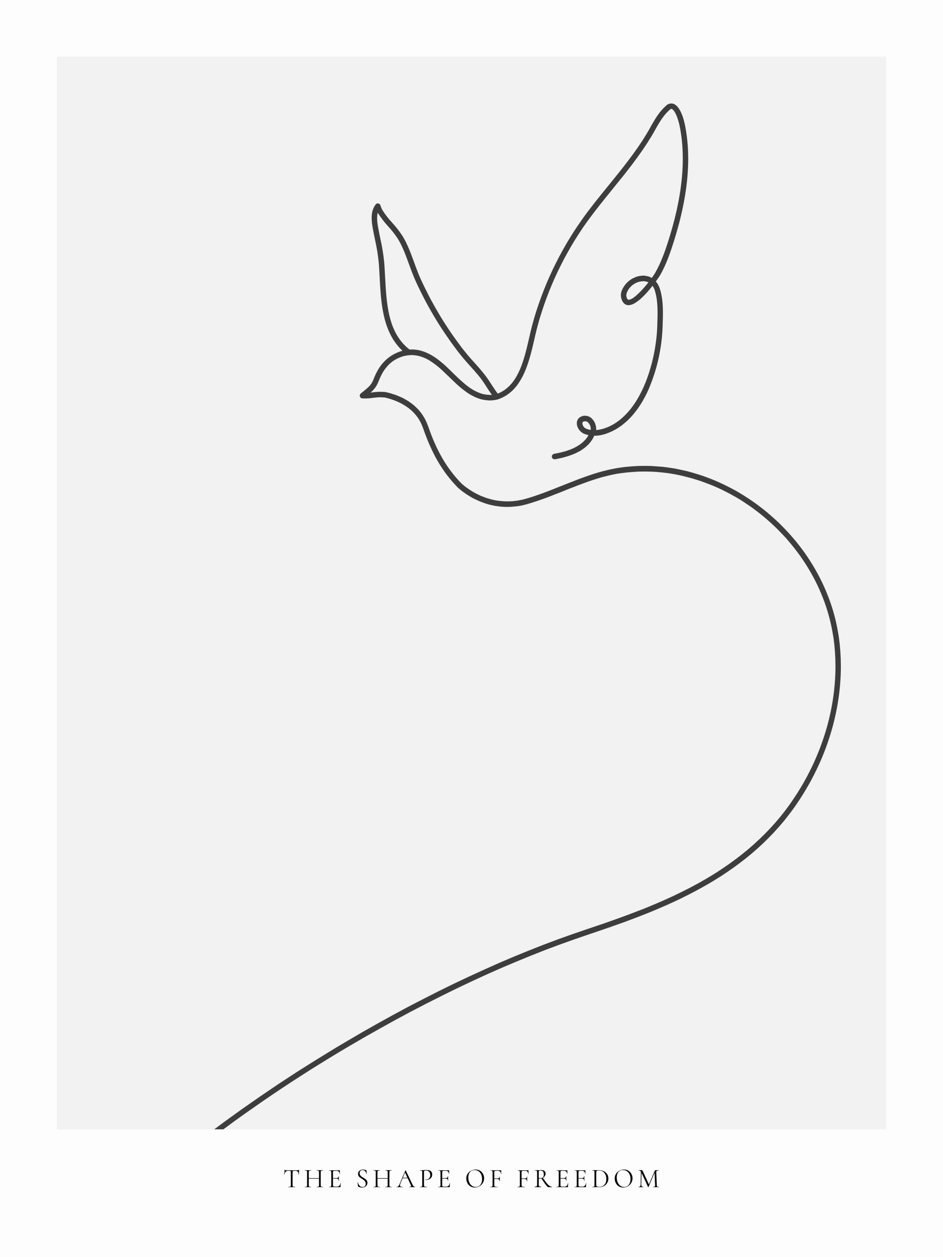 The Shape of Freedom