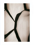 Abstract Poster