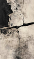 Abstract Texture Poster
