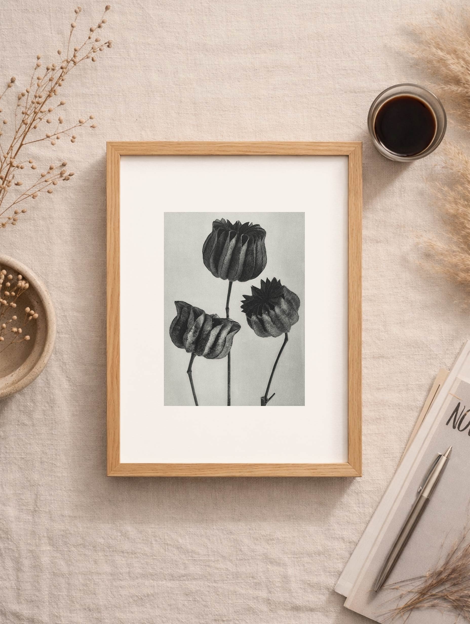 Abutilon Karl Blossfeldt Flower Poster Mockup