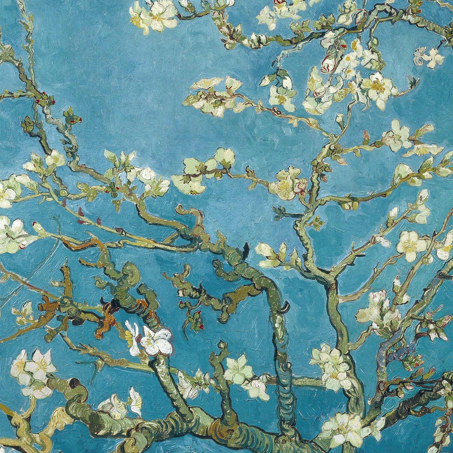 Almond Blossom-Van Gogh Art Print