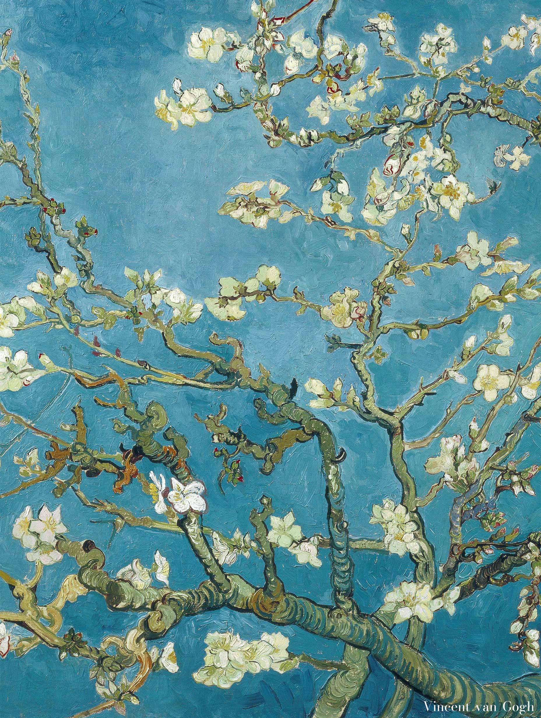 Almond Blossom-Van Gogh Art Print