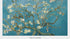 Almond Blossom Van Gogh Art Print No 2