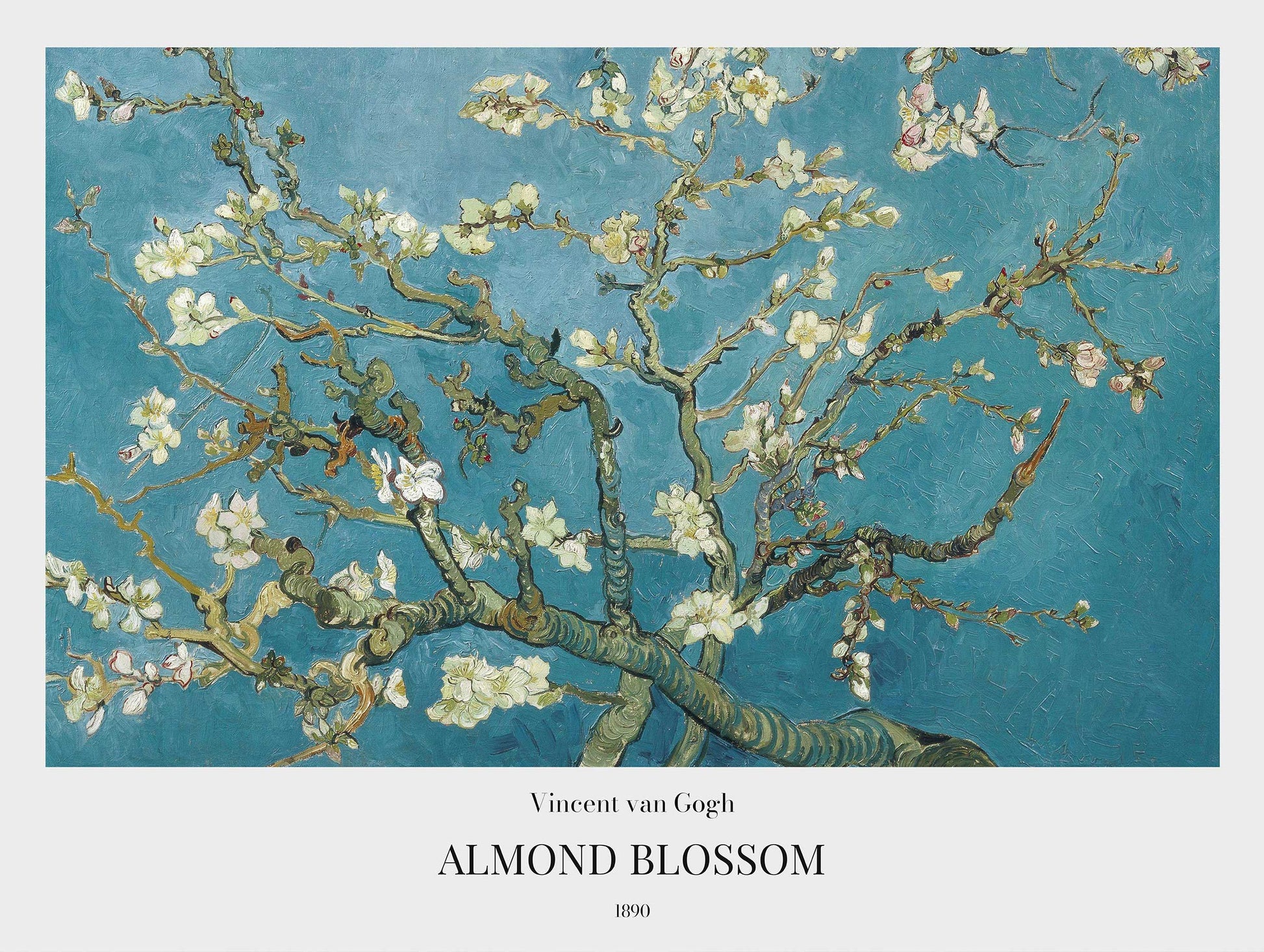 Almond Blossom Van Gogh Art Print No 2