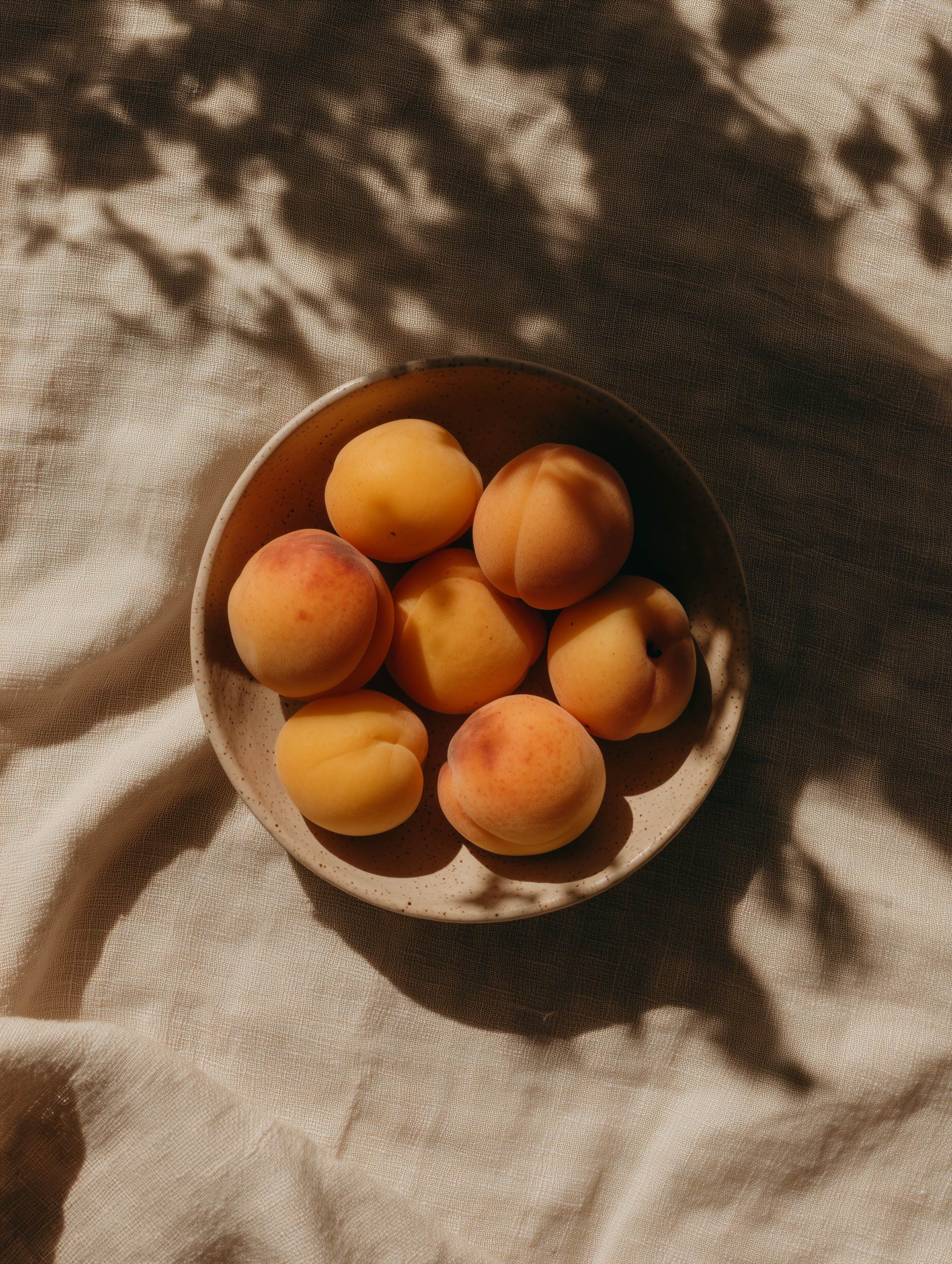 Aprikoser i en bolle Fruktkunstverk