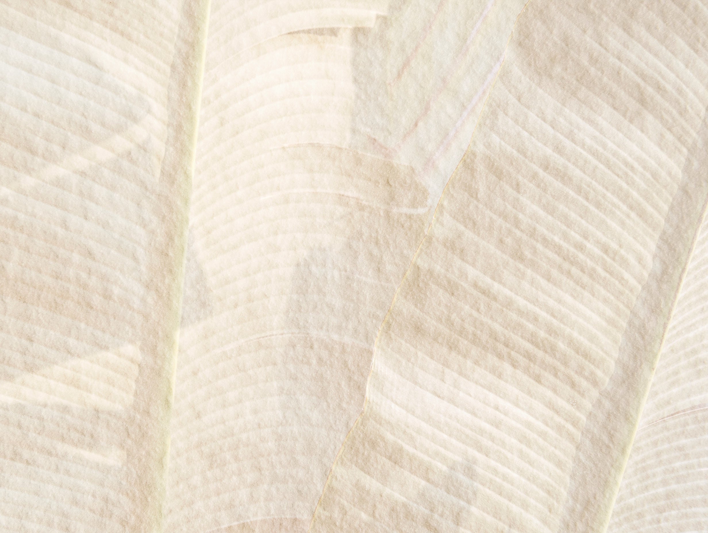 Banana Leaf Pattern Art Print