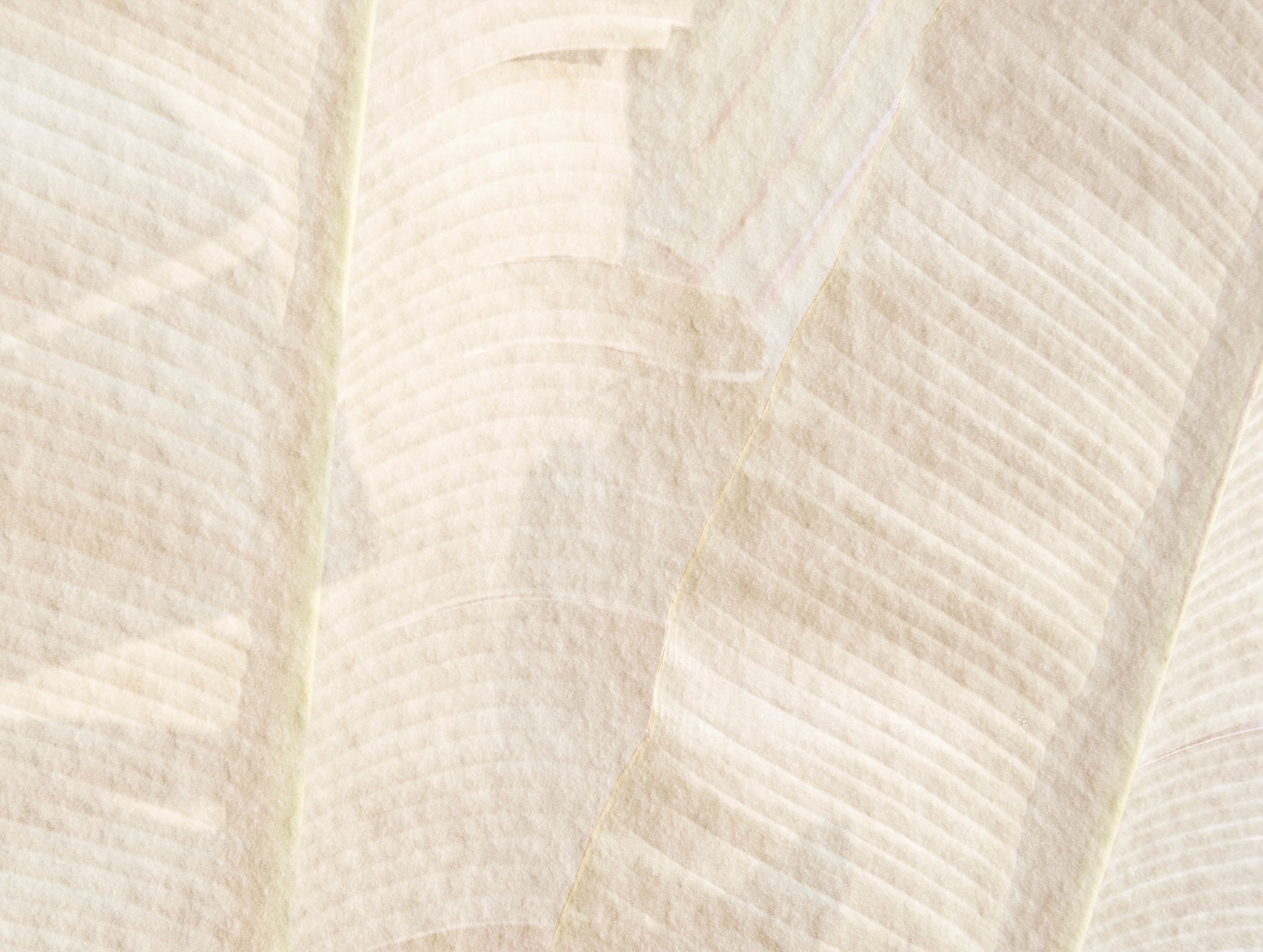 Banana Leaf Pattern Art Print