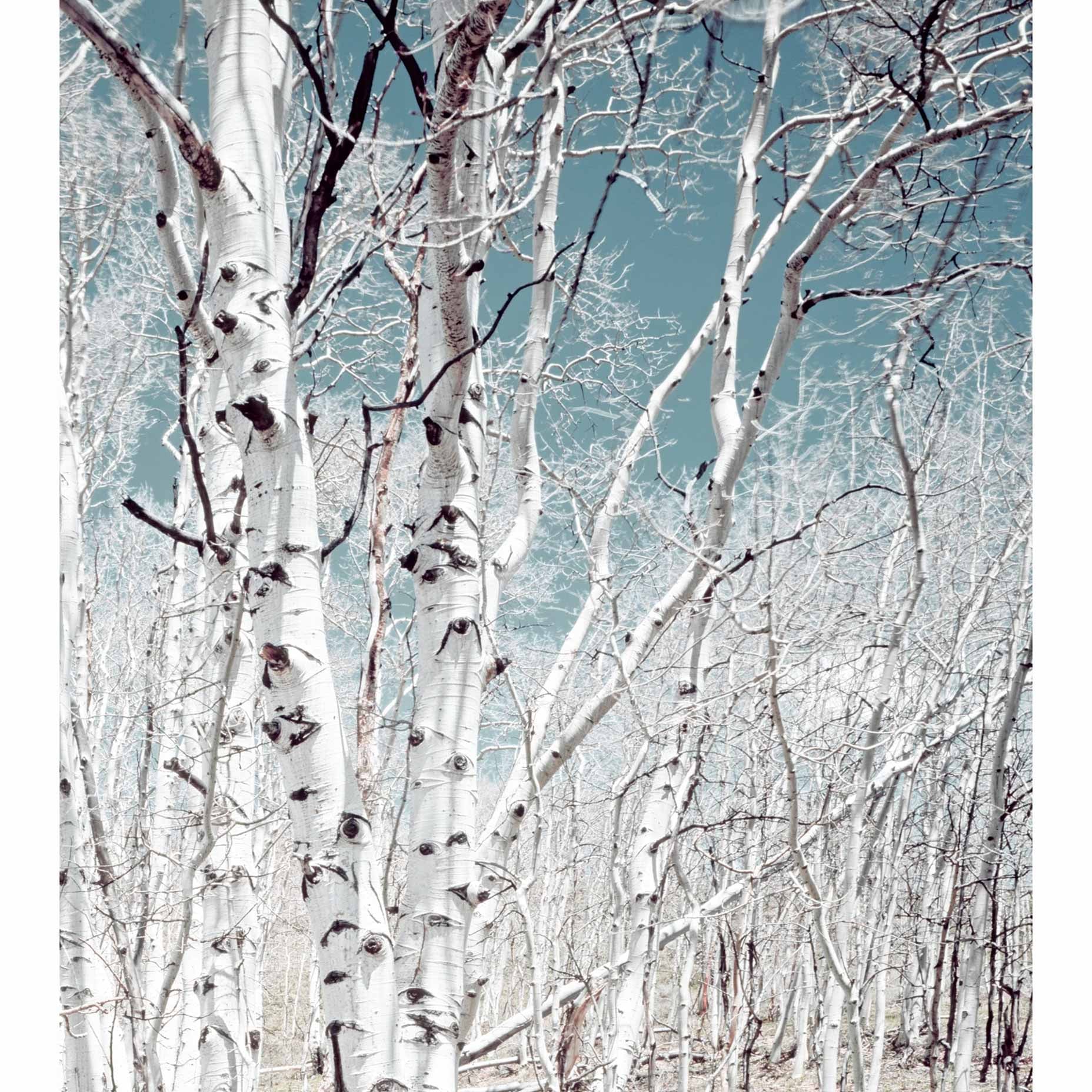 All Posters & Prints