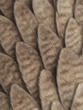 Bird Feathers Abstract Poster