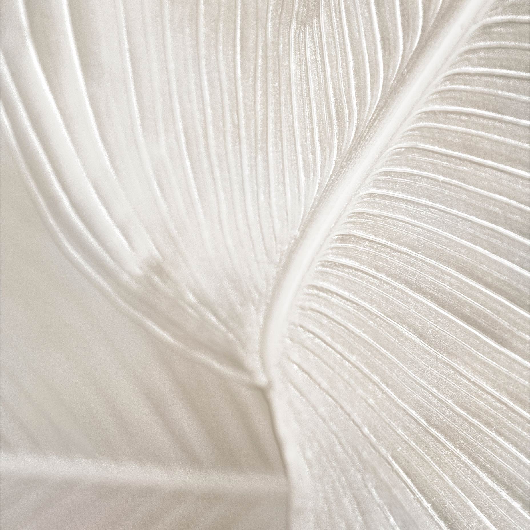 Bird of Paradise leaf Botanical Poster