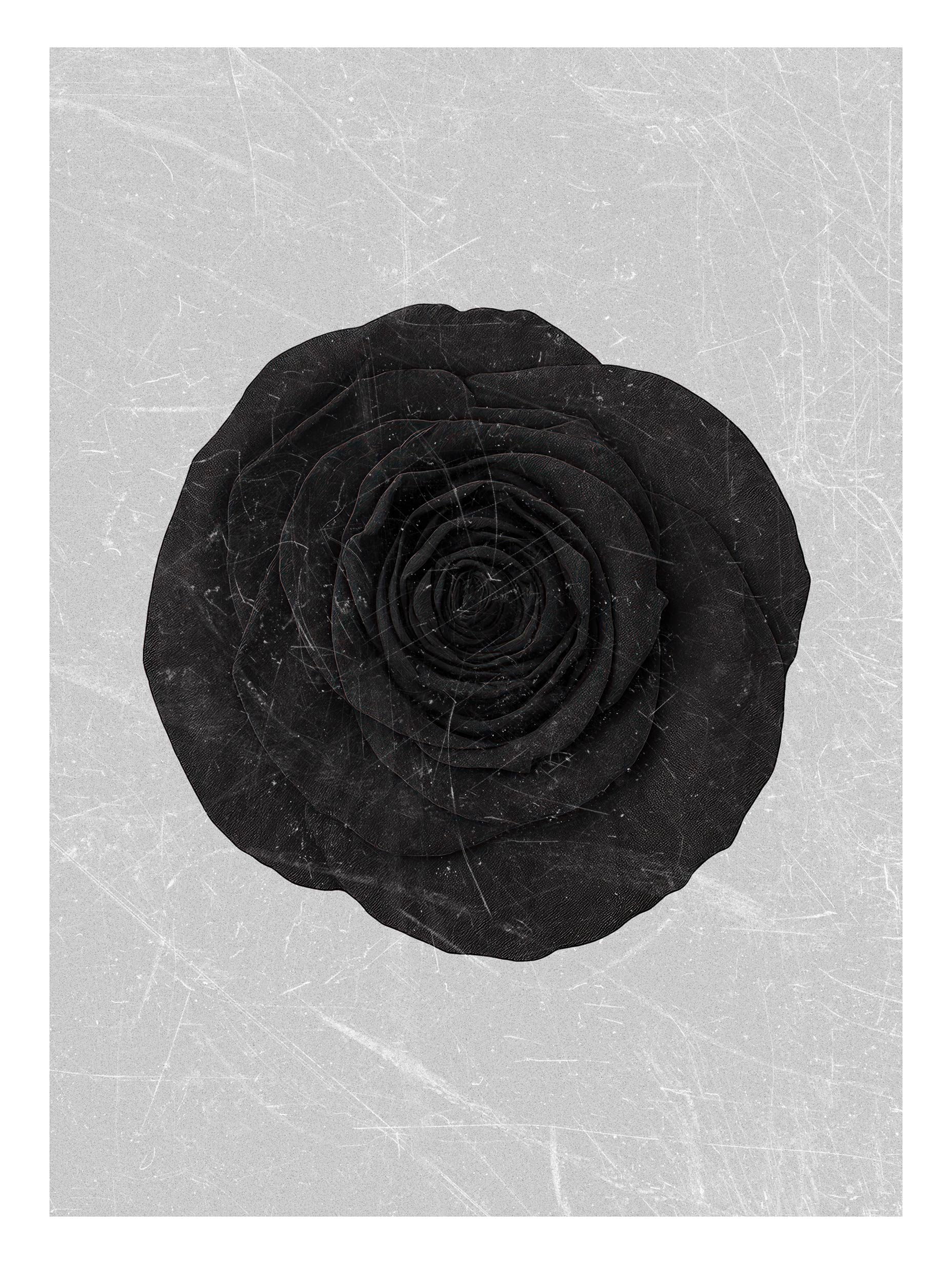 Black Rose Flower Art Print