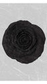 Black Rose Flower Art Print
