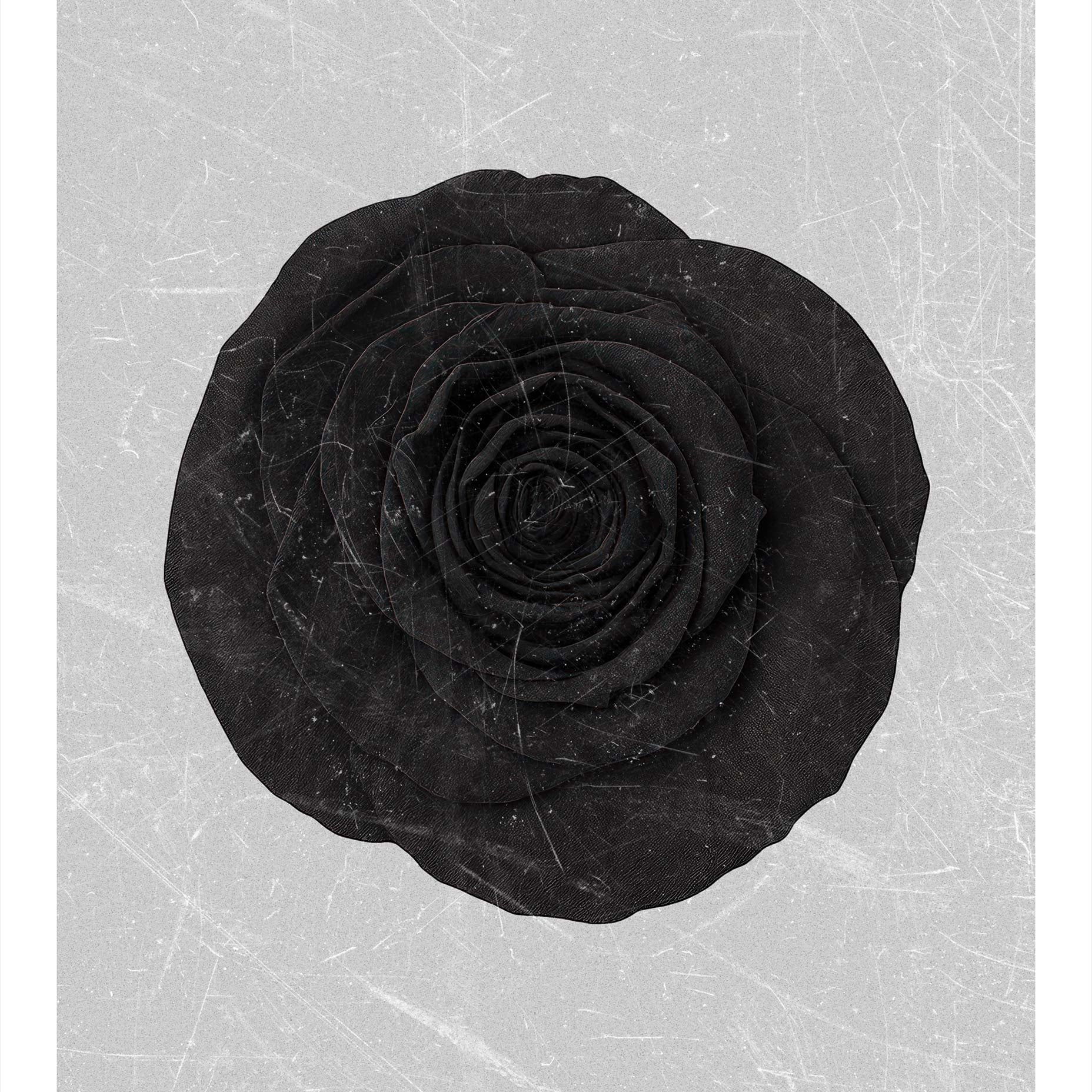 Black Rose Flower Art Print