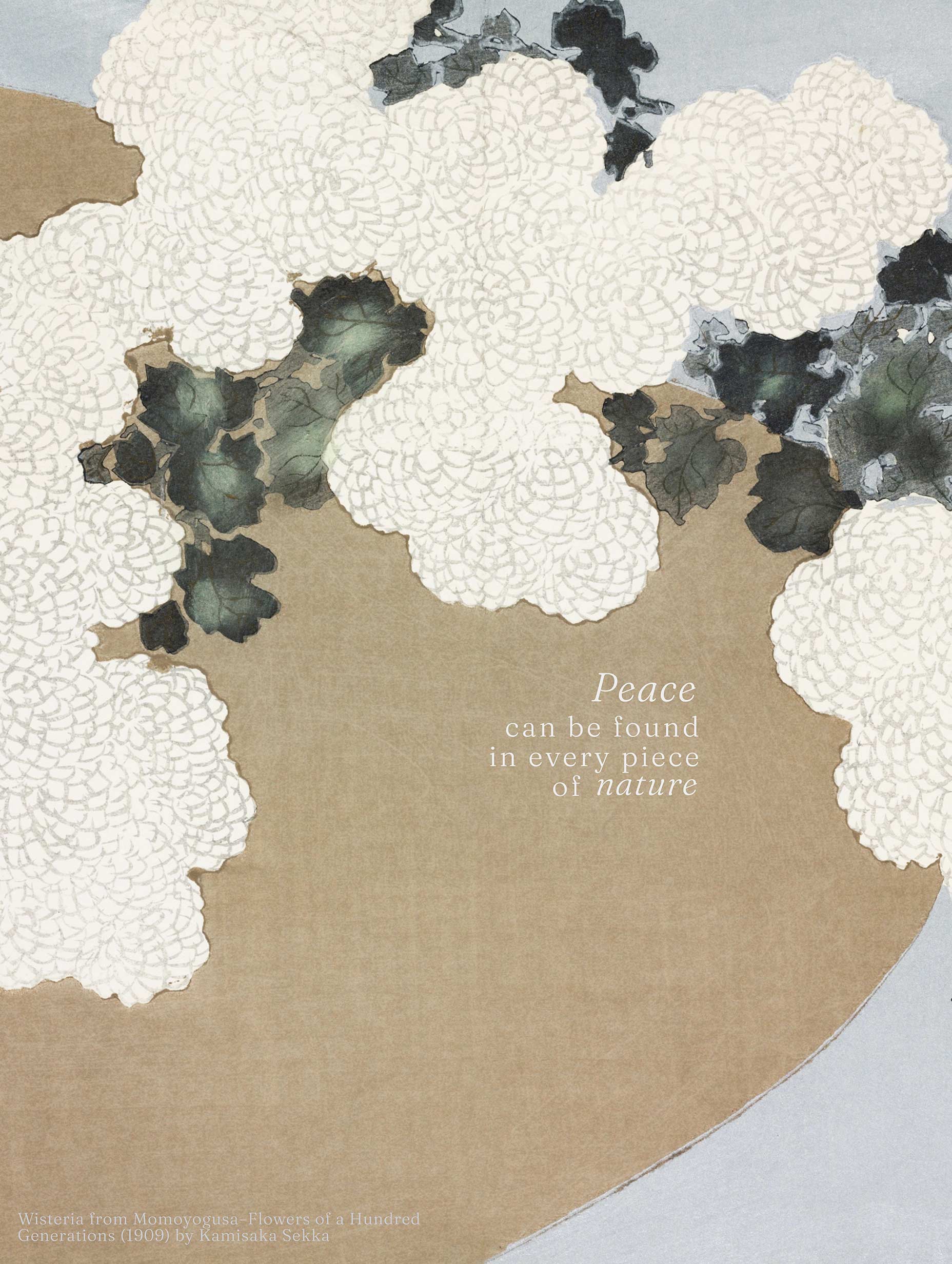 Blossom from Momoyogusa - Kamisaka Sekka Art Print