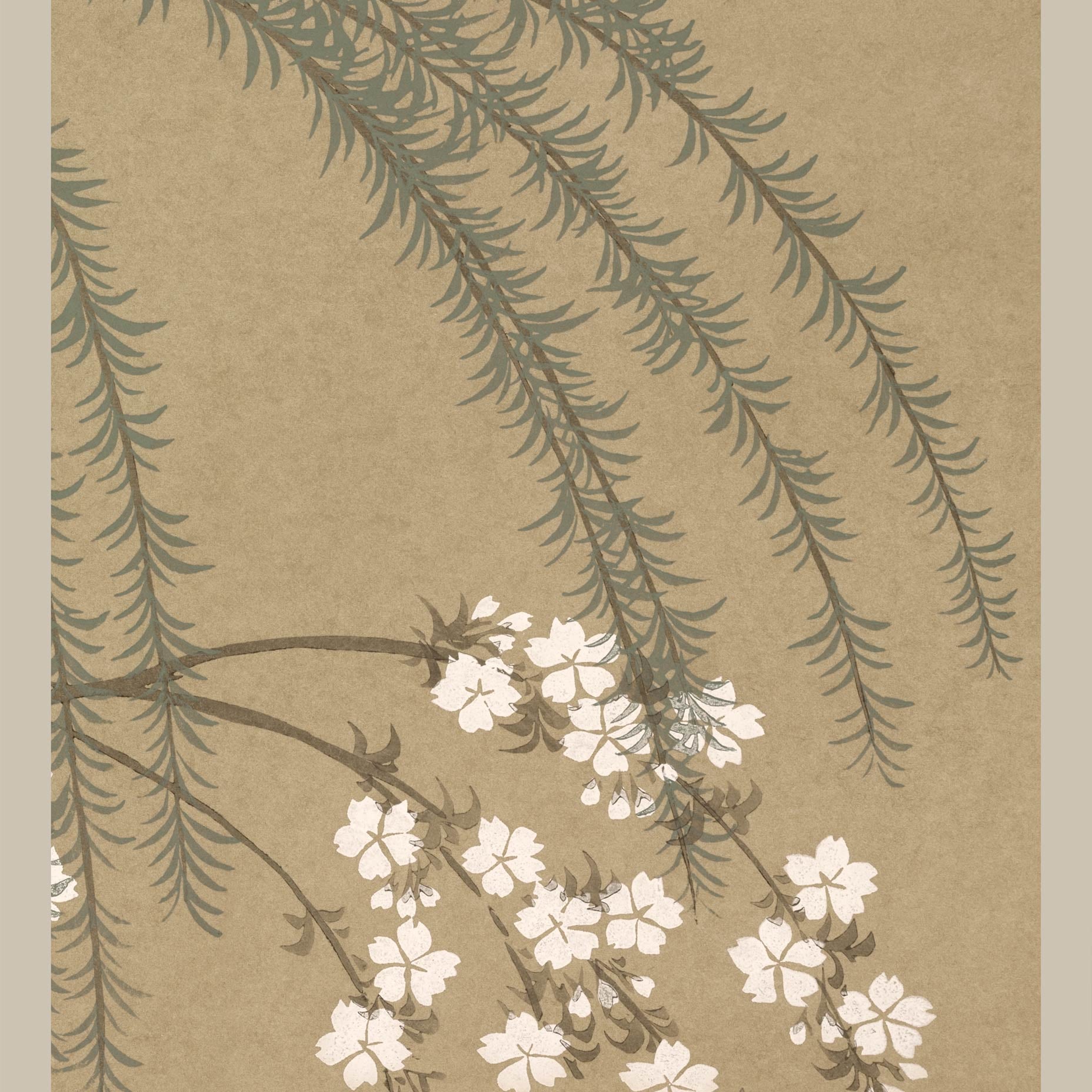 Blossoms from Momoyogusa Kamisaka Sekka Art Print